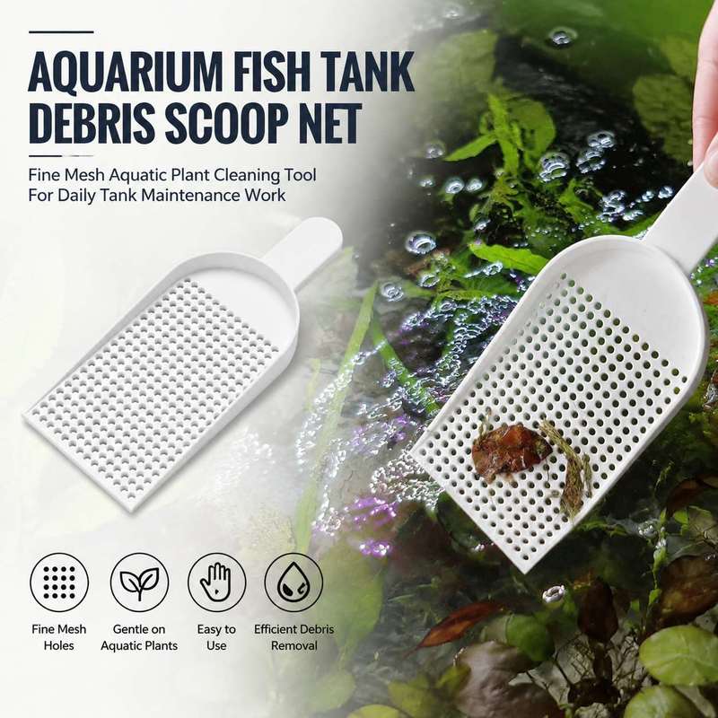 Cleaner Fish Aquarium - Aquarium Fish Tank Debris Scoop Net