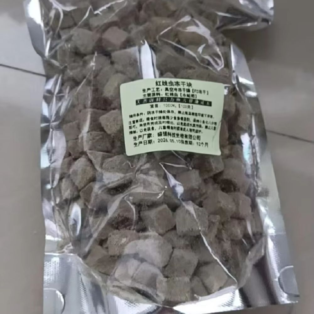 Tetra Fish In Aquarium - Freeze Dried Blood Worm Cubes Fish