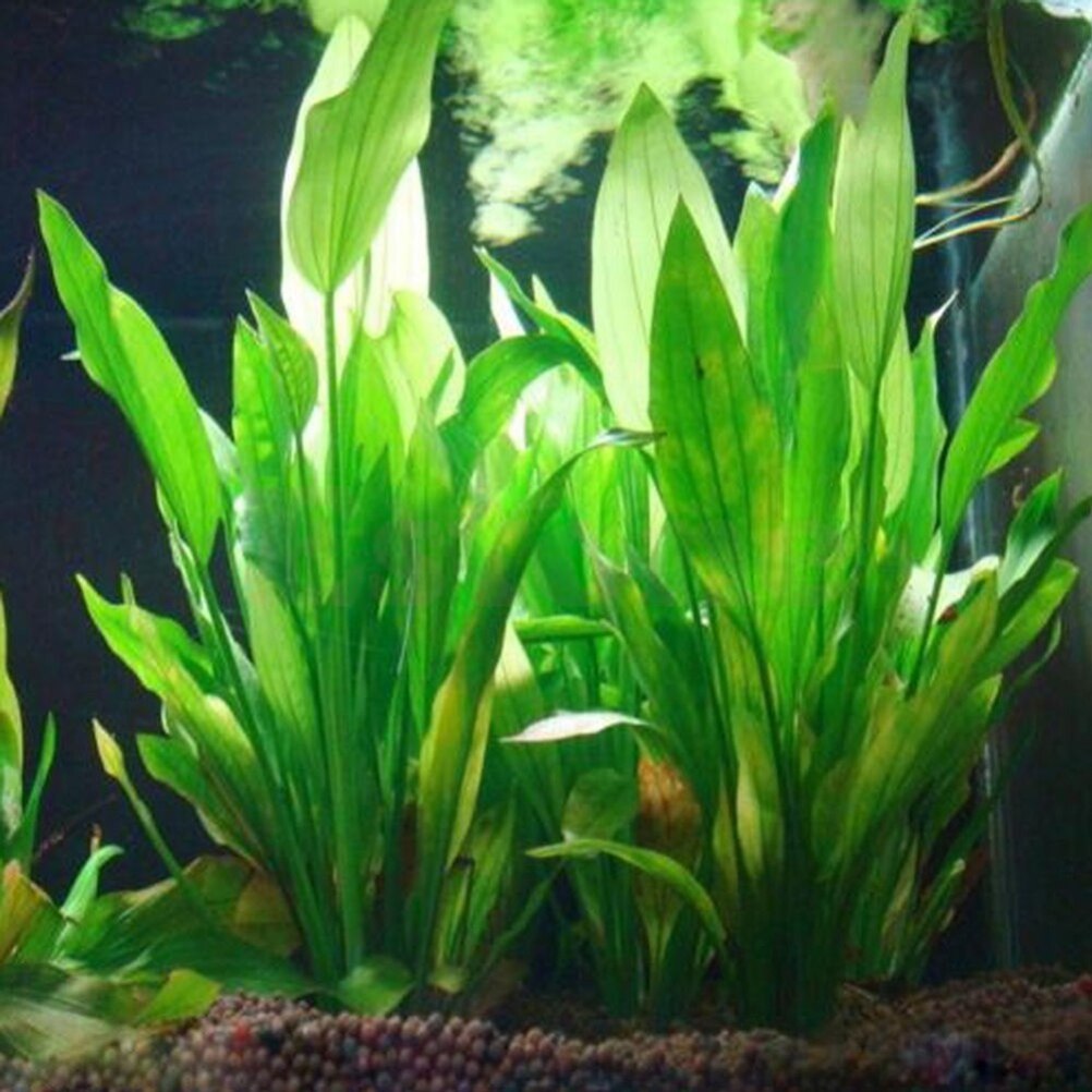 Aquarium Fish Only - 15cm Artificial Aquarium Decor Plants Water