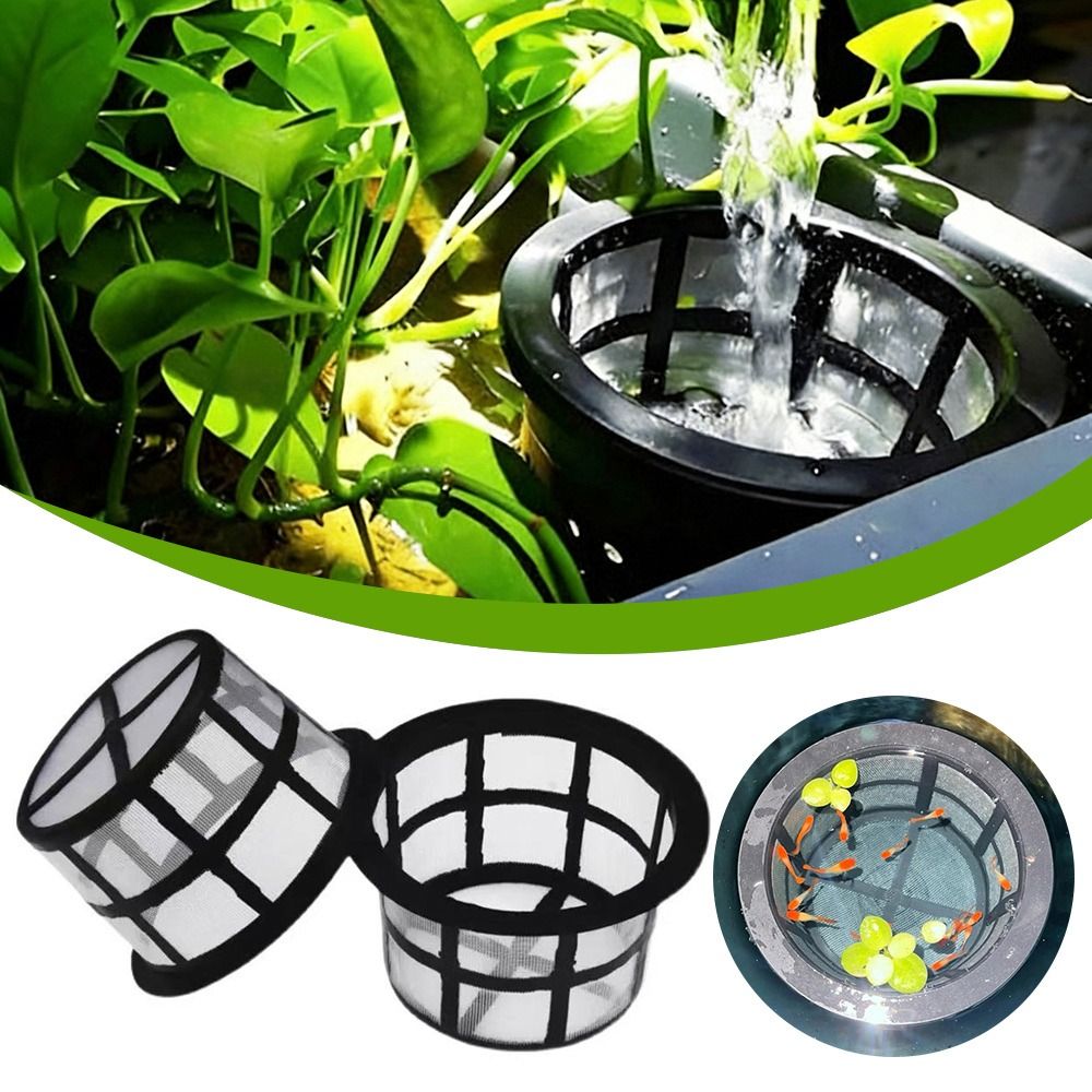 Aquarium Fish Rate - Fish Fry Cage Aquarium Filters Fish