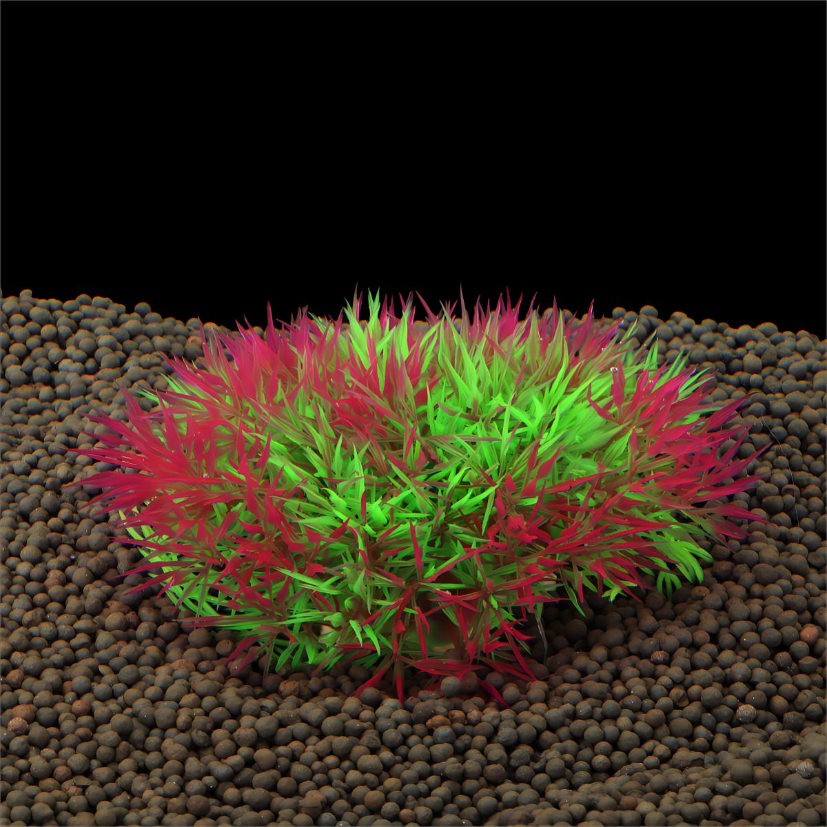 Artificial Water Grass Aquariu - Aquarium Fish Only ulasan dan harga