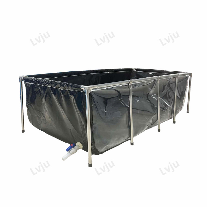 Lvju Fish Aquarium Tank  75-11 - Aquarium Xxl ulasan dan harga