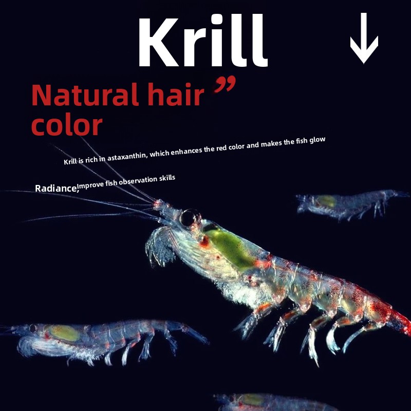 Huiqiancai Micro Pellets Fish  - Tetra Fish In Aquarium ulasan dan harga