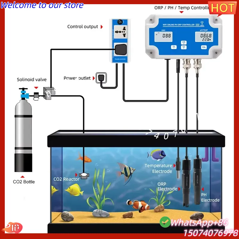 2026 Wireless WiFi Online Cont - Aquarium Fish In Online ulasan dan harga