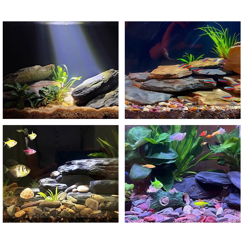 500/1000g Fish Tank Landscape  - Aquarium Fish Farm ulasan dan harga