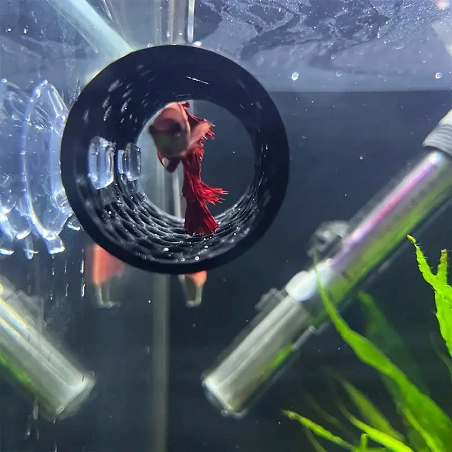 Aquarium Fish Hideout Black Ho - Aquarium Fish Hiding Places ulasan dan harga