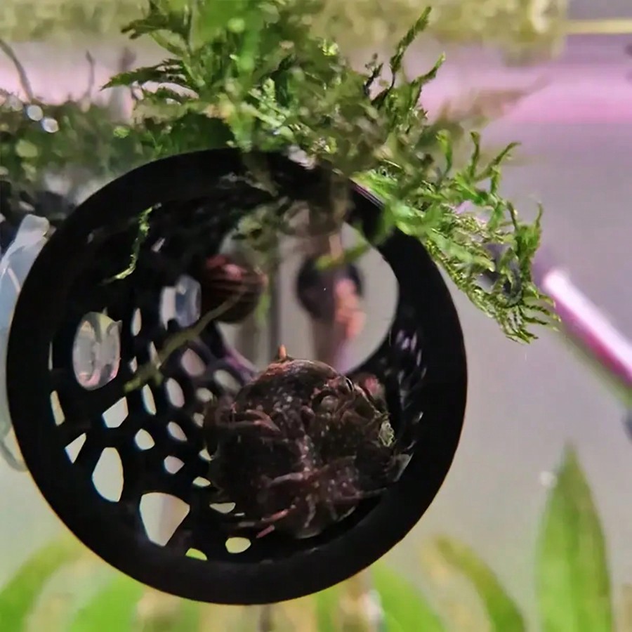 Aquarium Fish Hideout Black Ho - Aquarium Fish Hiding Places ulasan dan harga