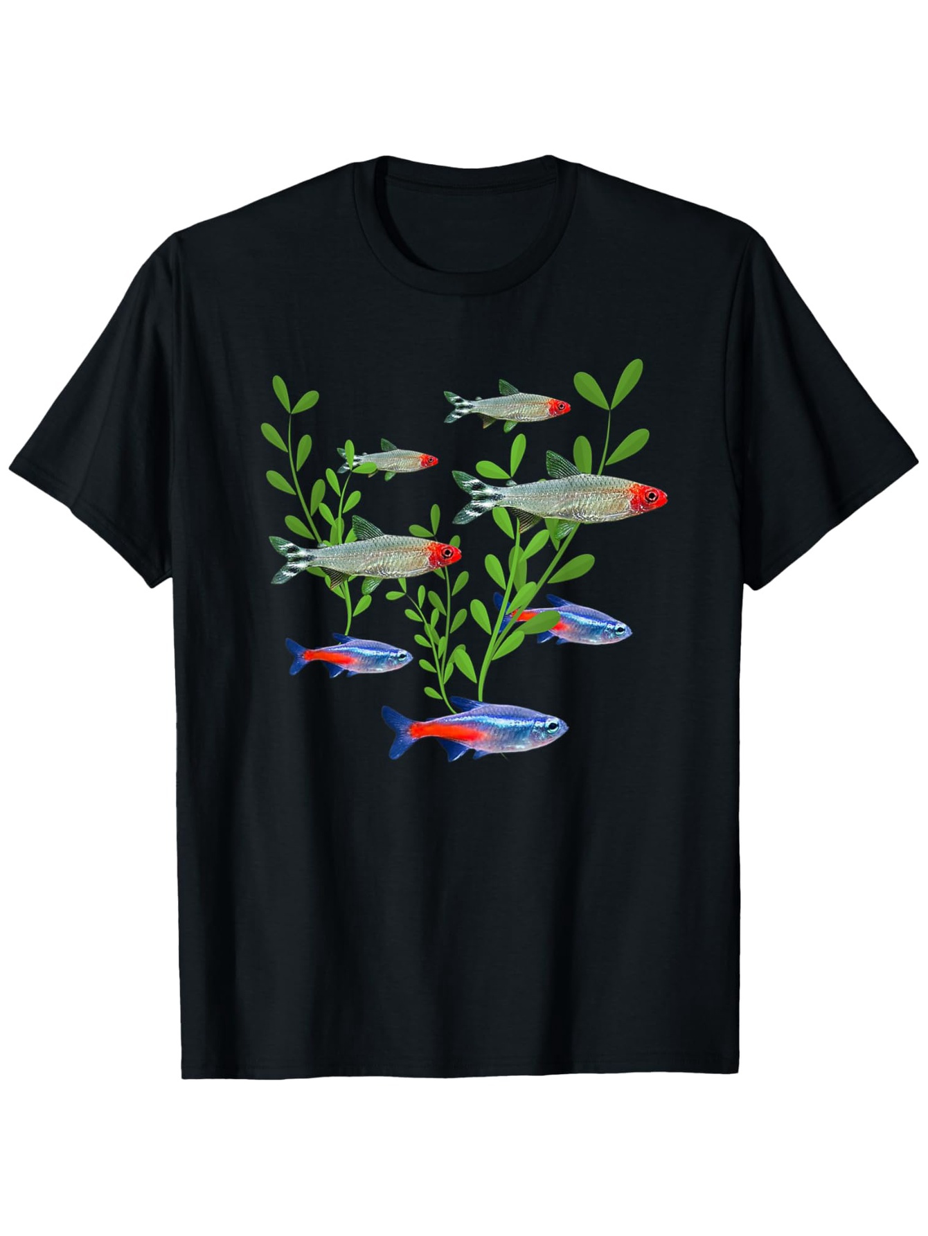 Men's Neon & Rummy Nose Tetras - Tetra Fish In Aquarium ulasan dan harga