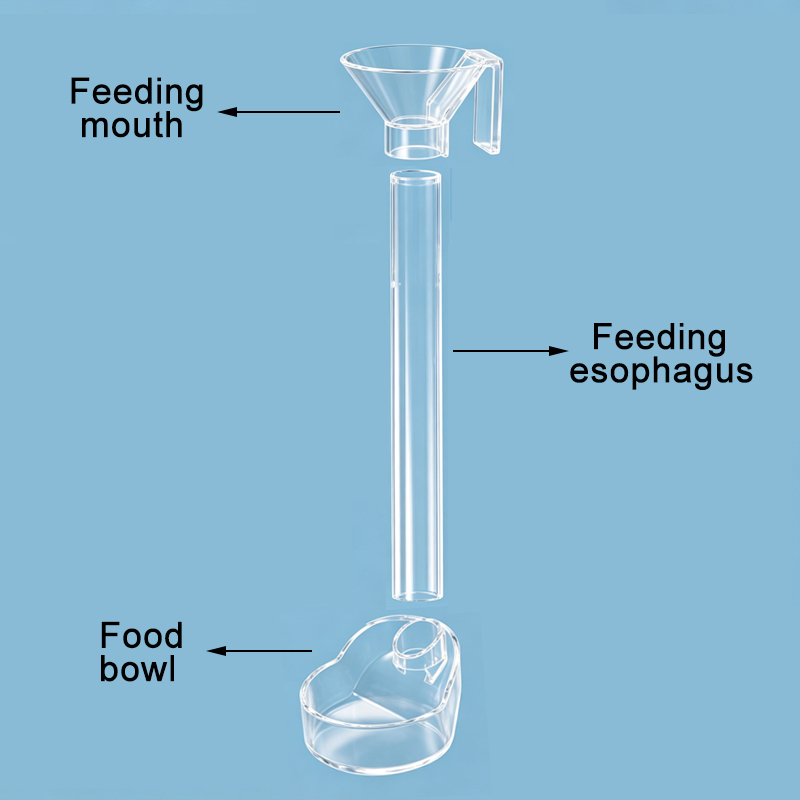 Acrylic Aquarium Fish Feeder T - Aquarium Xxl ulasan dan harga