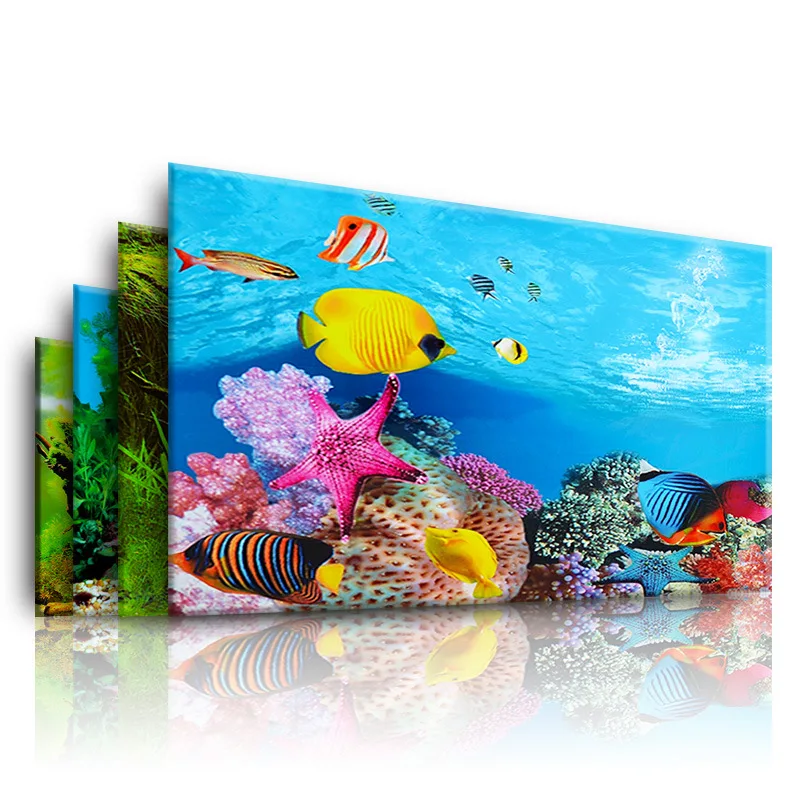 Background for Aquarium 3d  St - Aquarium Fish Only ulasan dan harga