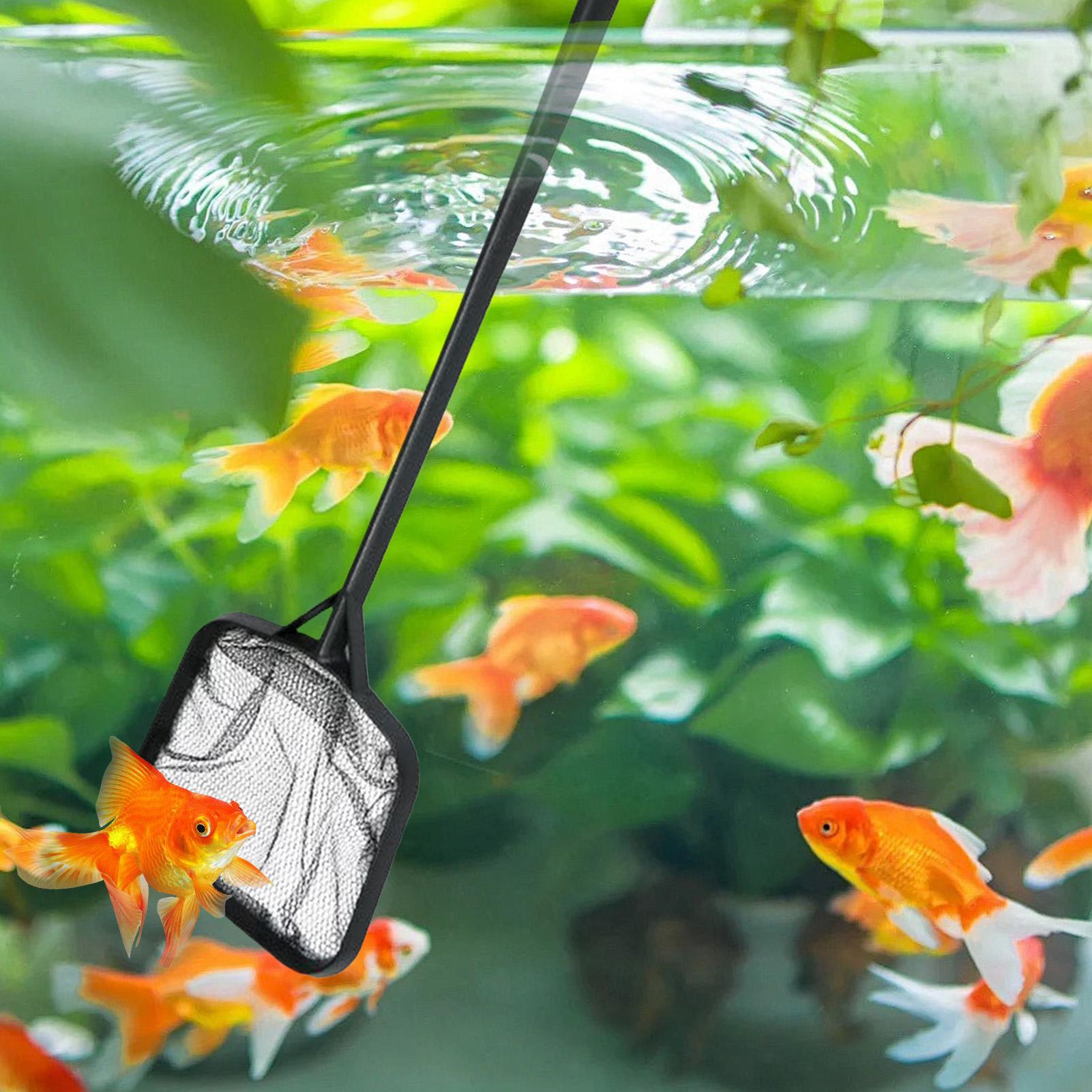 Pool Nets for Cleaning Portabl - Cleaner Fish Aquarium ulasan dan harga