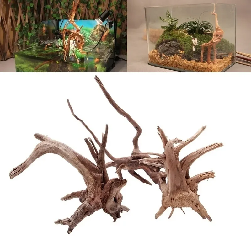 Natural Tree Trunk Driftwood A - Aquarium Fish Hiding Places ulasan dan harga