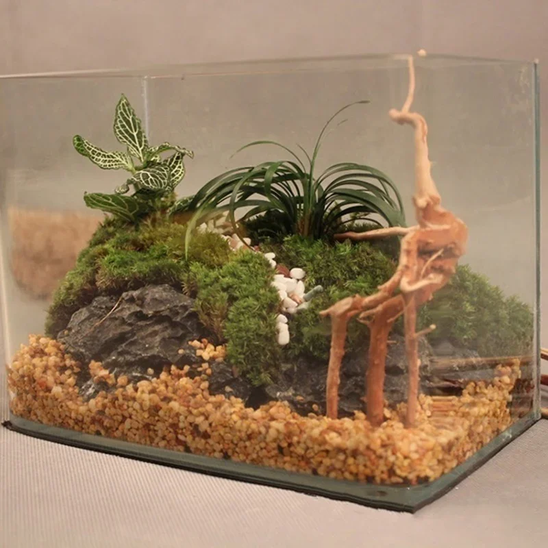 Natural Tree Trunk Driftwood A - Aquarium Fish Hiding Places ulasan dan harga