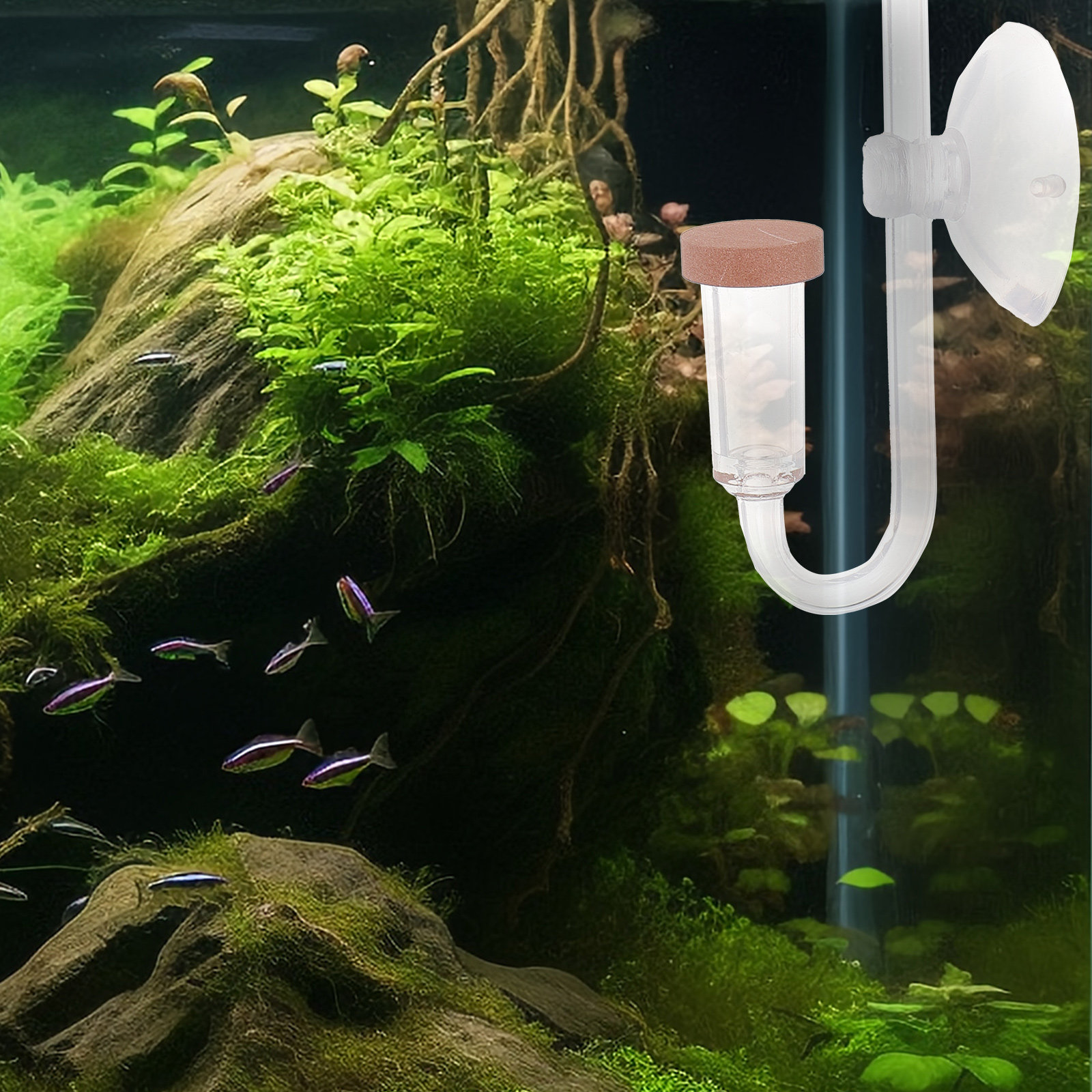 Fish Tank Co2 Refiner Transpar - Aquarium Fish Rate ulasan dan harga