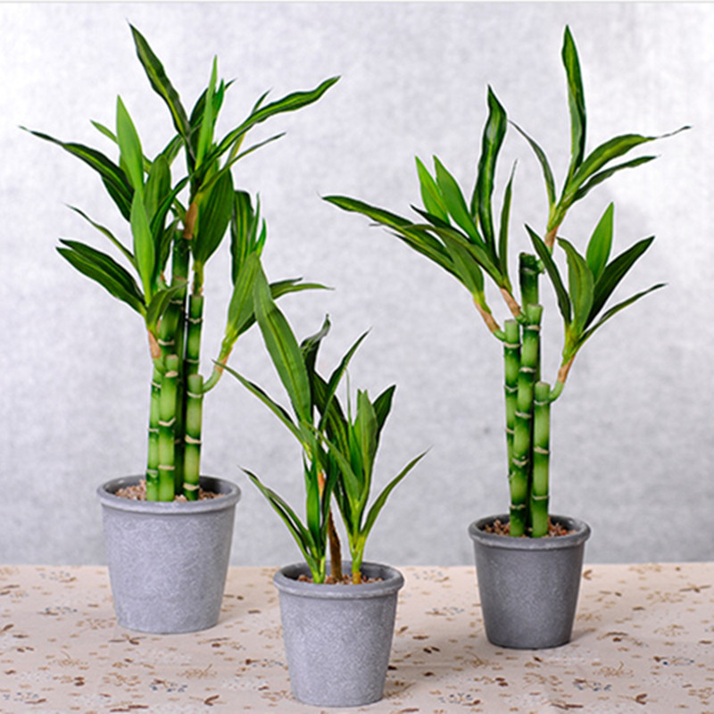 New 40cm Artificial Lucky Bamb - Aquarium Fish Only ulasan dan harga
