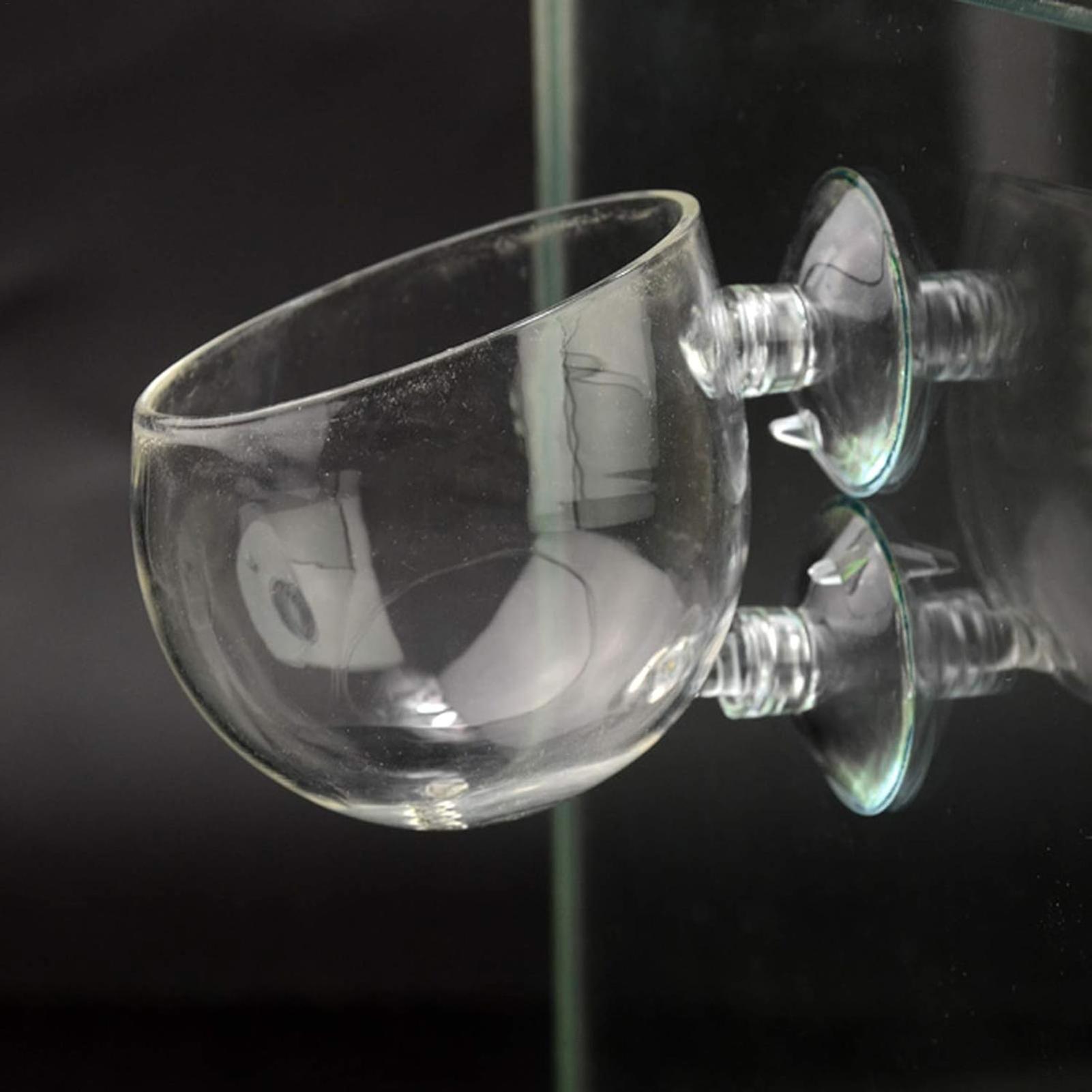 Aquarium Plant Holder Glass Aq - Aquarium Fish Only ulasan dan harga