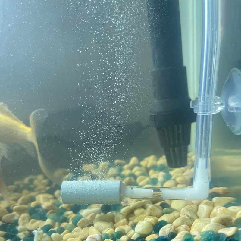 CO2 System Regulator Excellent - Aquarium Fish Rate ulasan dan harga