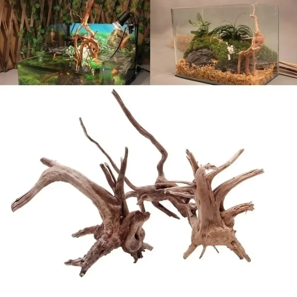 15-20CM Natural Driftwood Aqua - Aquarium Fish Farm ulasan dan harga