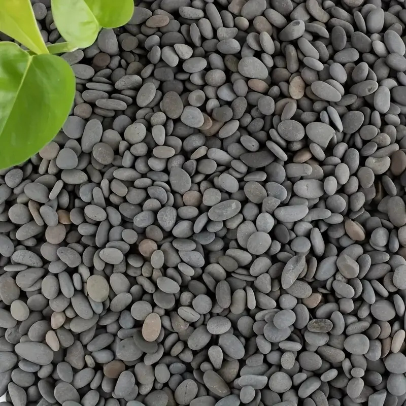 20Pcs Natural River Rocks Smoo - Aquarium Fish Farm ulasan dan harga