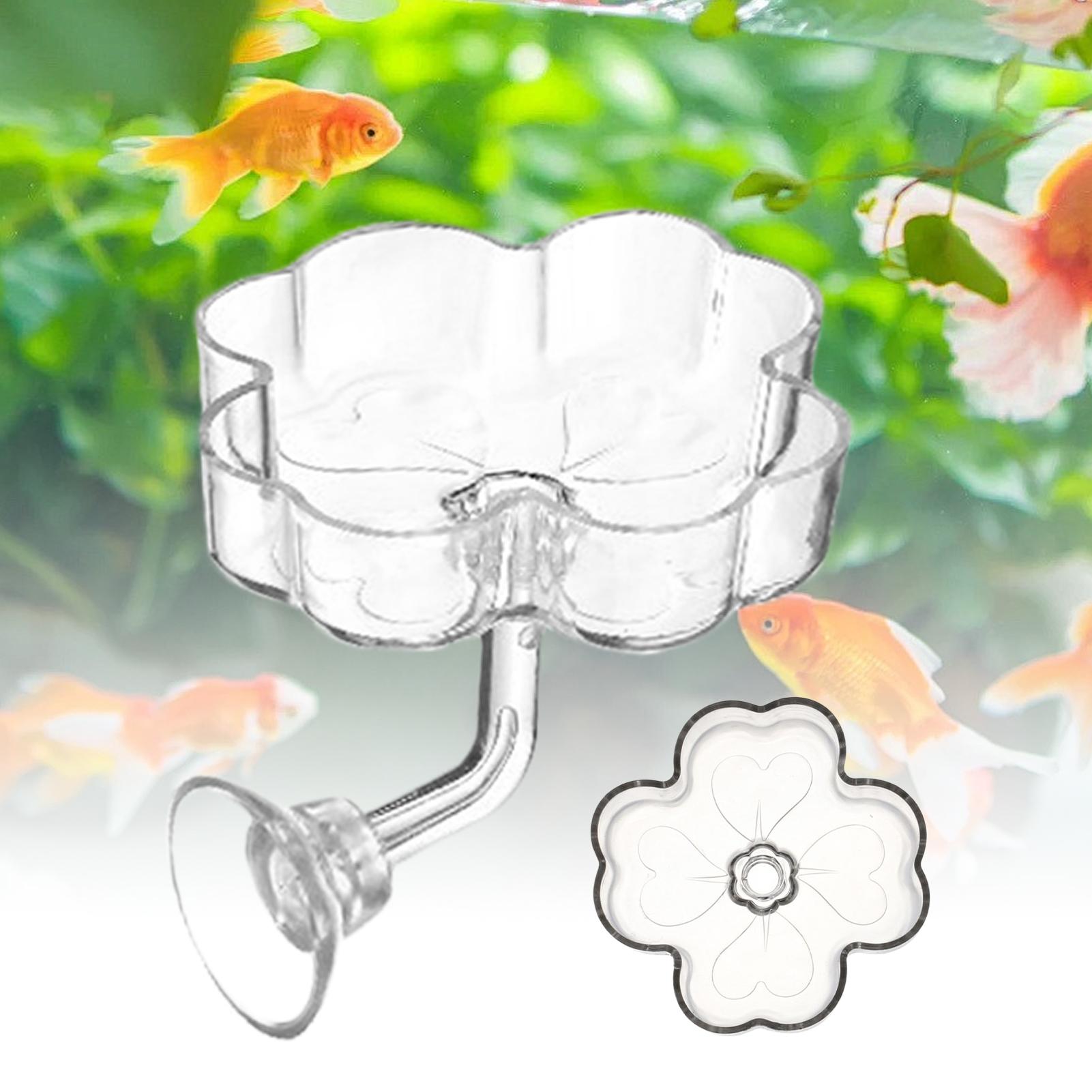 Aquarium Feeder Tray Suction C - Tetra Fish In Aquarium ulasan dan harga