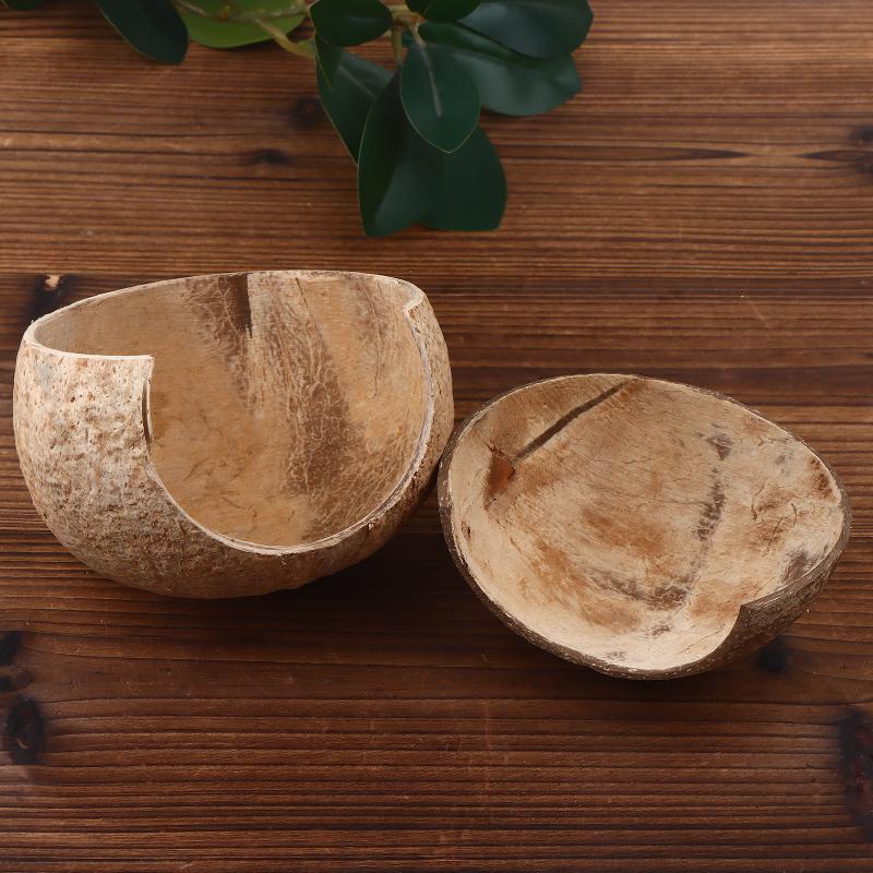 Coconut Hut Decor for Aquarium - Aquarium Fish Hiding Places ulasan dan harga