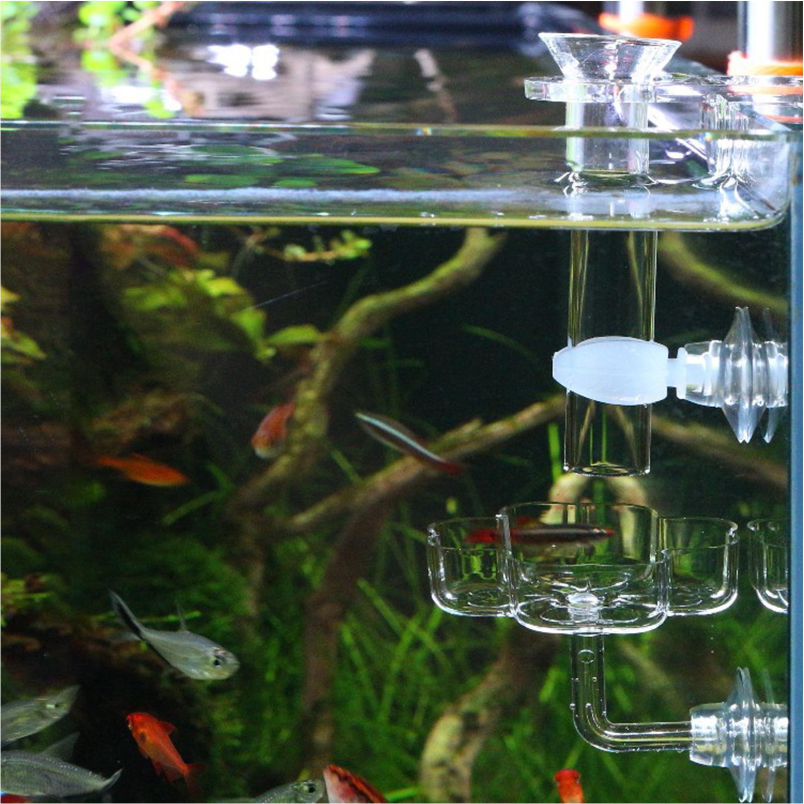 Aquarium Feeder Suction Cup Fl - Tetra Fish In Aquarium ulasan dan harga