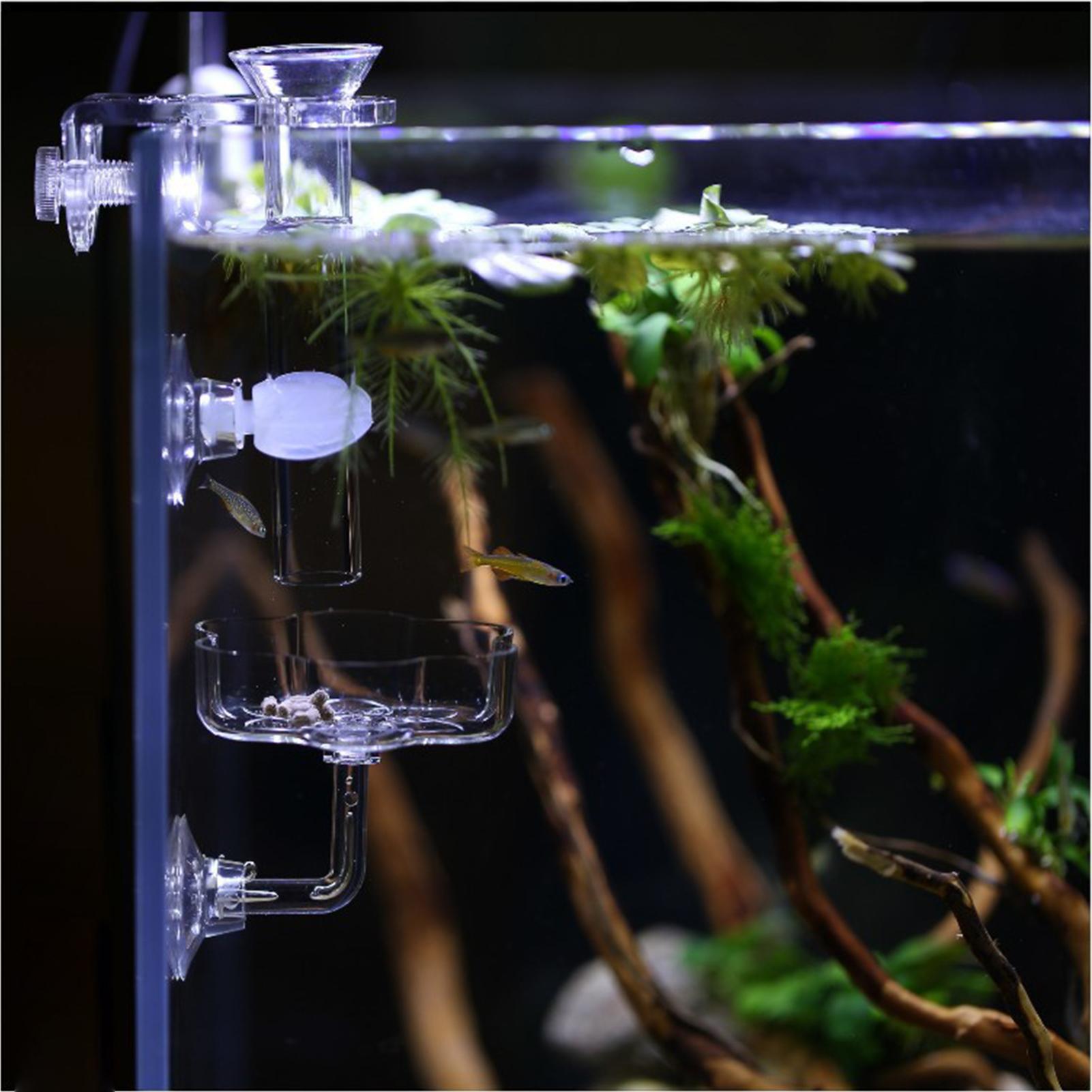 Aquarium Feeder Suction Cup Fl - Tetra Fish In Aquarium ulasan dan harga