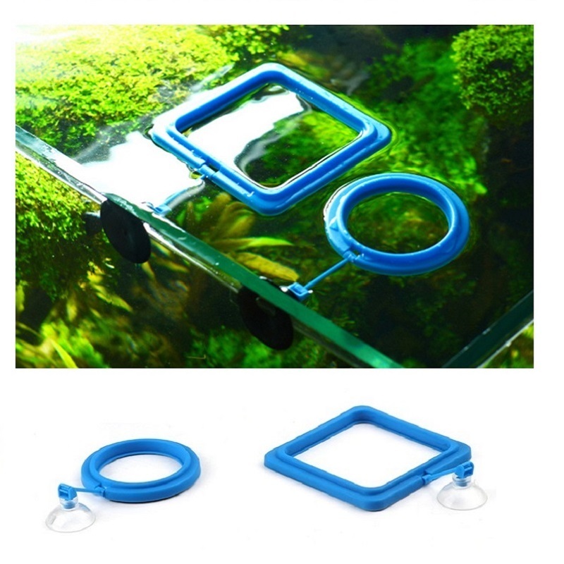 Fish Feeding Ring Feeder Fishi - Tetra Fish In Aquarium ulasan dan harga