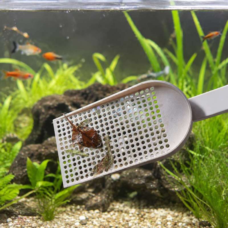 Aquarium Fish Tank Debris Scoo - Cleaner Fish Aquarium ulasan dan harga