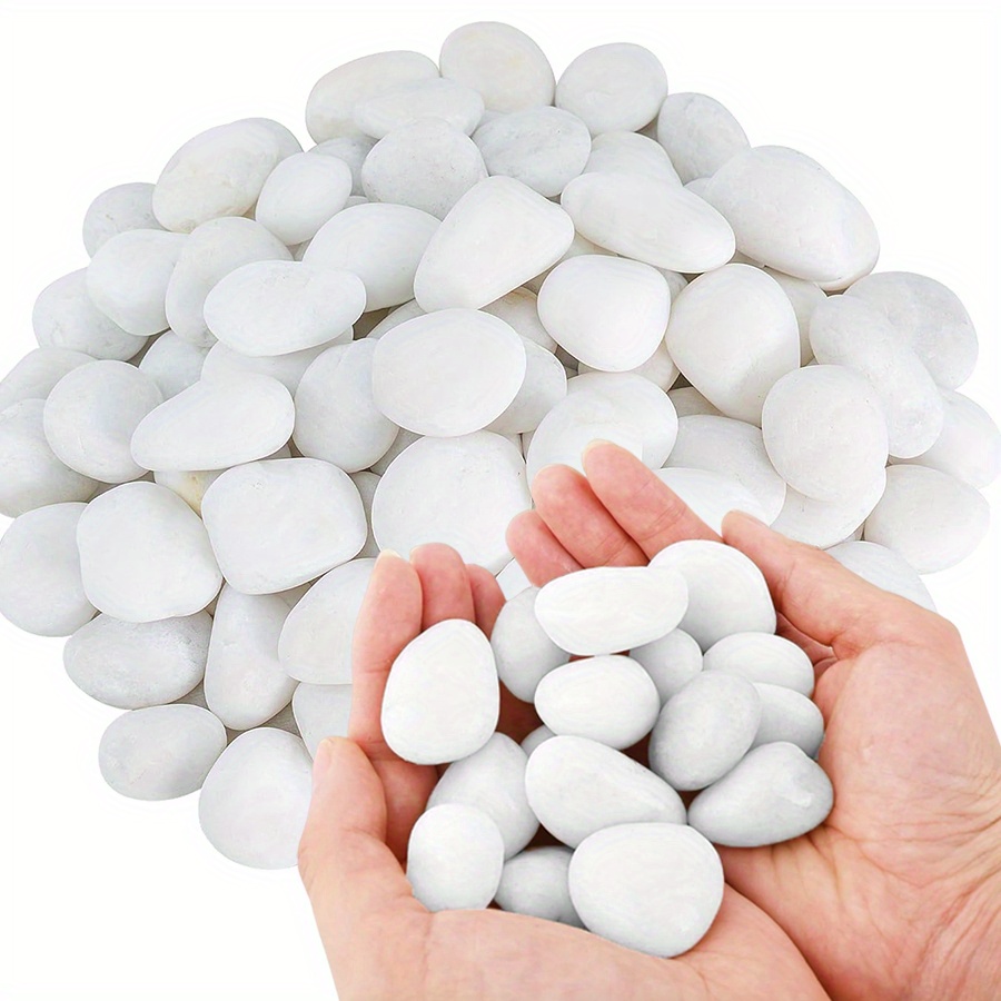 200/400g White High Polished N - Aquarium Fish Farm ulasan dan harga