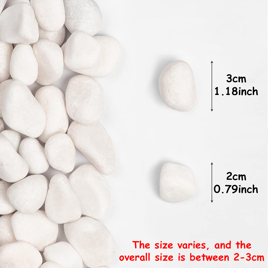 200/400g White High Polished N - Aquarium Fish Farm ulasan dan harga