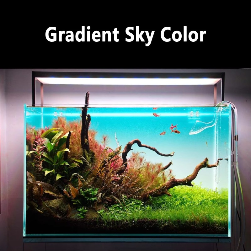 Aquarium Fish Tank Acrylic Gra - Aquarium Fish Rate ulasan dan harga