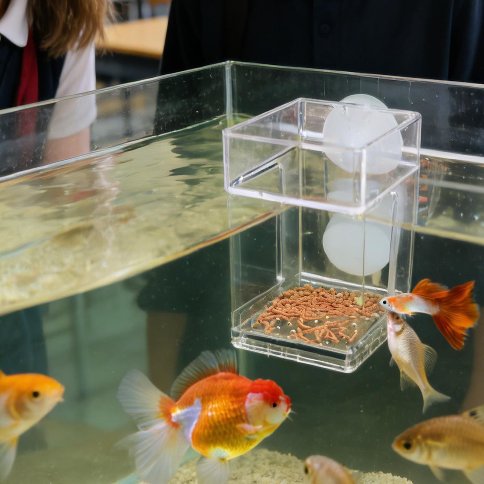 Aquarium Feeder Suction Cup Aq - Tetra Fish In Aquarium ulasan dan harga