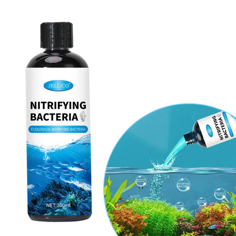 Nitrifying Bacteria Liquid Fis - Aquarium Fish Farm ulasan dan harga