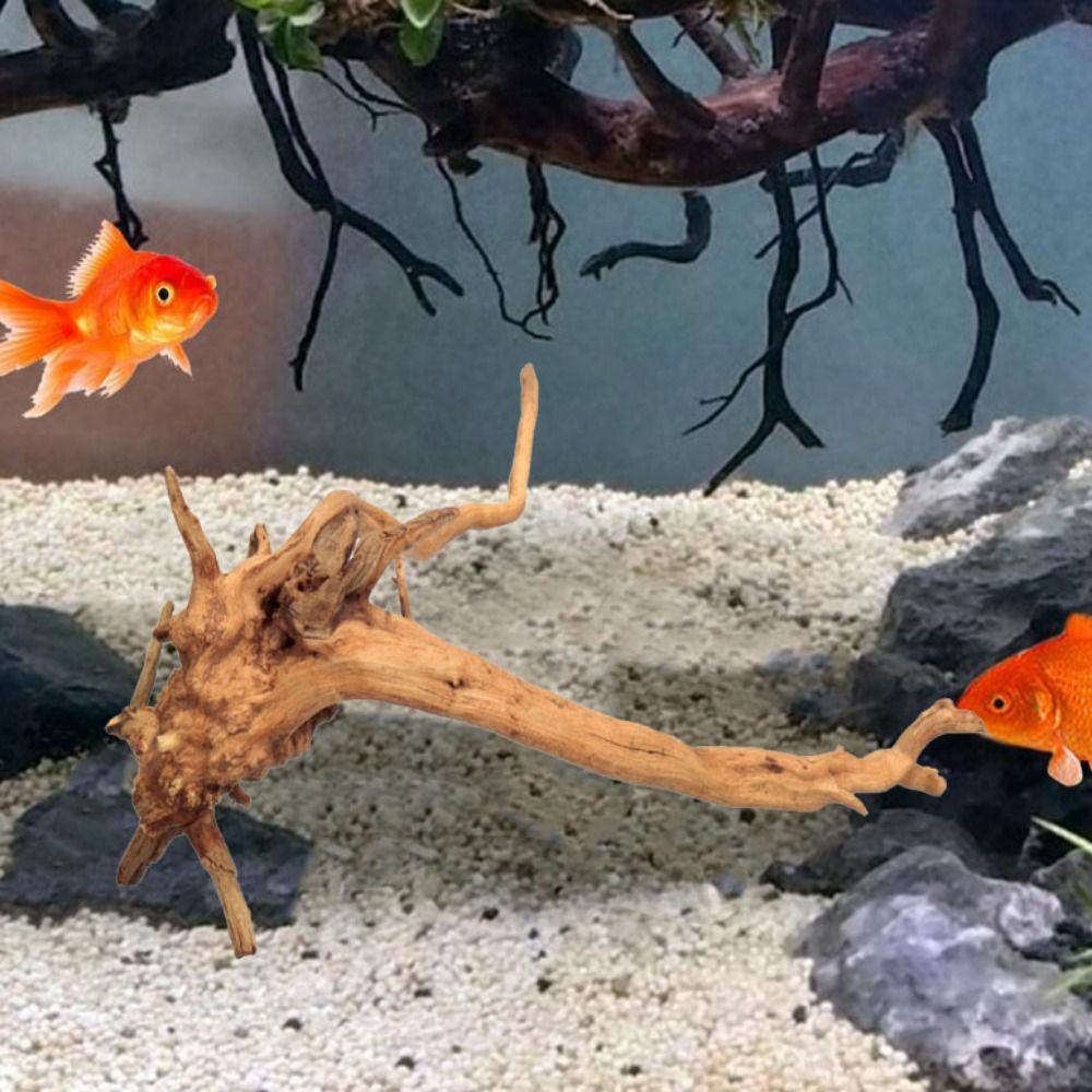 20-25CM Large Aquarium Driftwo - Aquarium Xxl ulasan dan harga