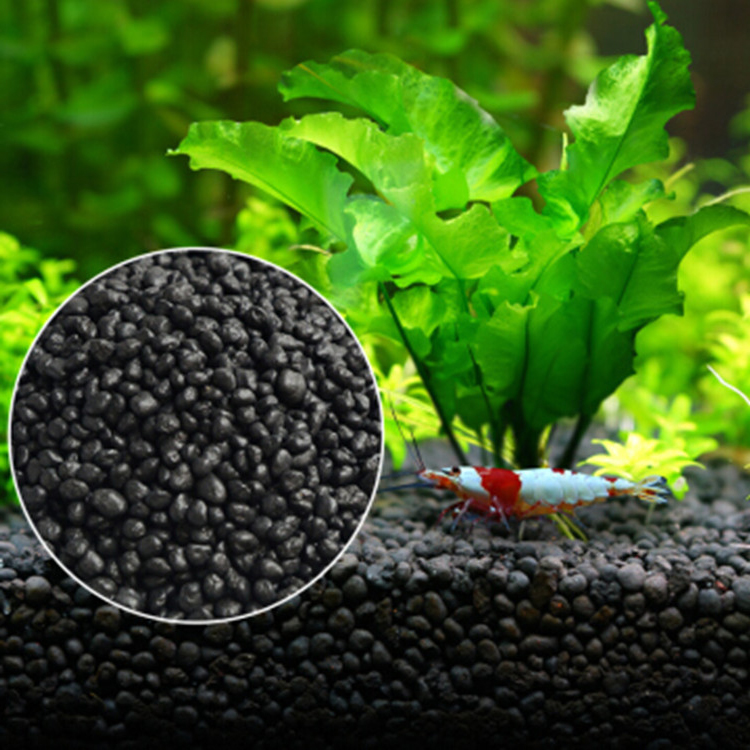 Aquarium Plant Seeds Soil Fish - Aquarium Fish Farm ulasan dan harga