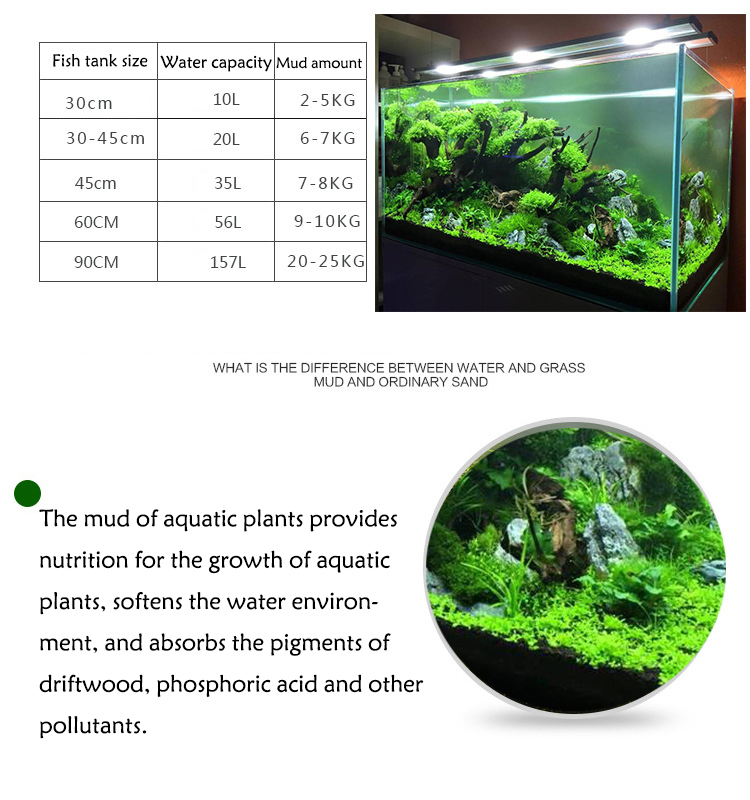 Aquarium Plant Seeds Soil Fish - Aquarium Fish Farm ulasan dan harga