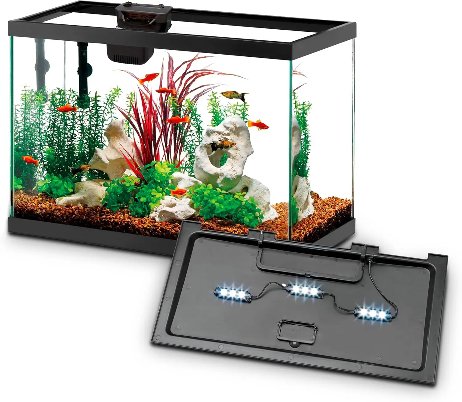Aquarium Starter Kit with Smar - Tetra Fish In Aquarium ulasan dan harga