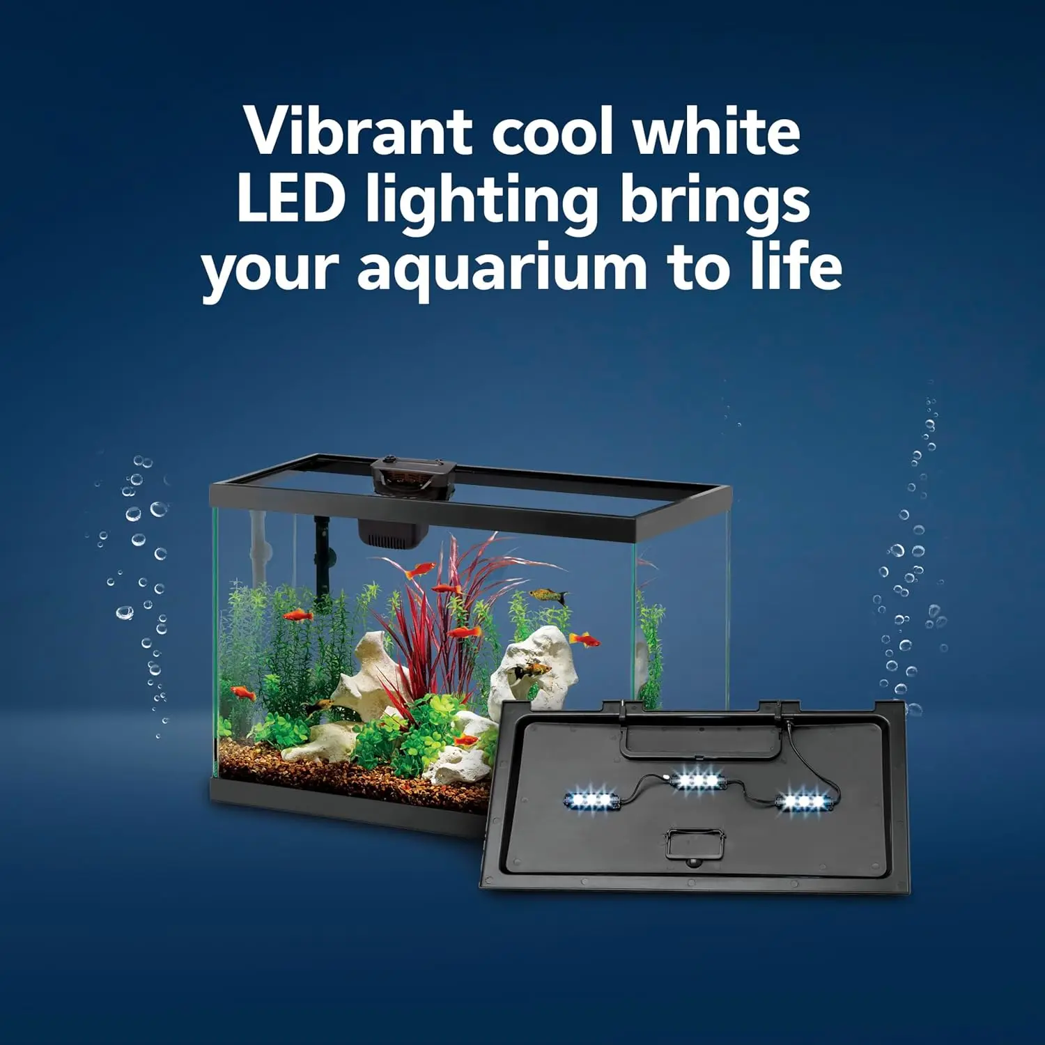 Aquarium Starter Kit with Smar - Tetra Fish In Aquarium ulasan dan harga