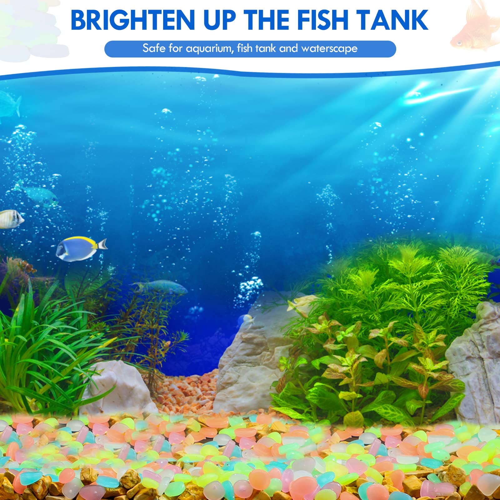 100Pcs Glow in the Dark Garden - Aquarium Fish Farm ulasan dan harga