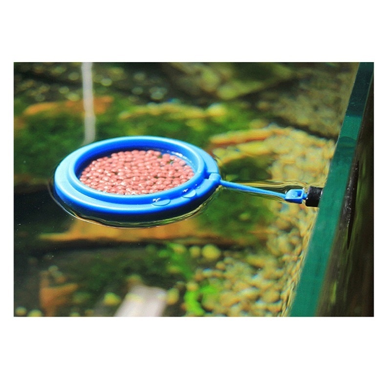 Fish Feeding Ring Feeder Fishi - Tetra Fish In Aquarium ulasan dan harga