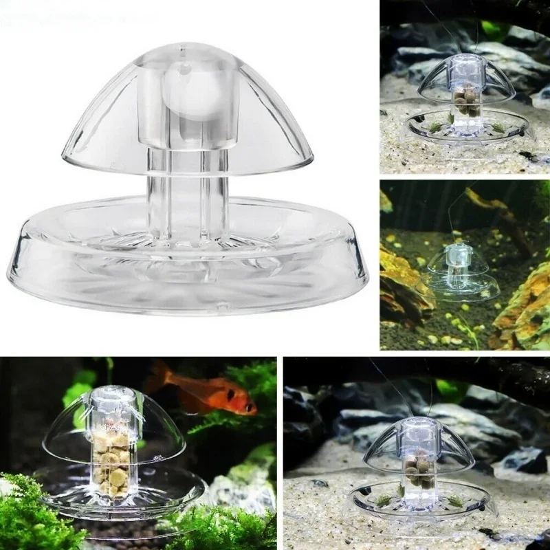 Aquarium Pest Snail Trap Trans - Cleaner Fish Aquarium ulasan dan harga