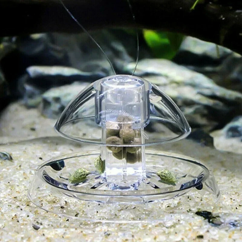 Aquarium Pest Snail Trap Trans - Cleaner Fish Aquarium ulasan dan harga