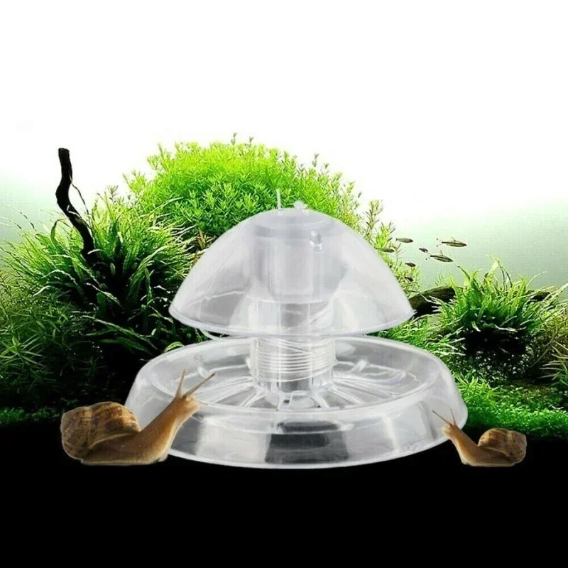 Aquarium Pest Snail Trap Trans - Cleaner Fish Aquarium ulasan dan harga