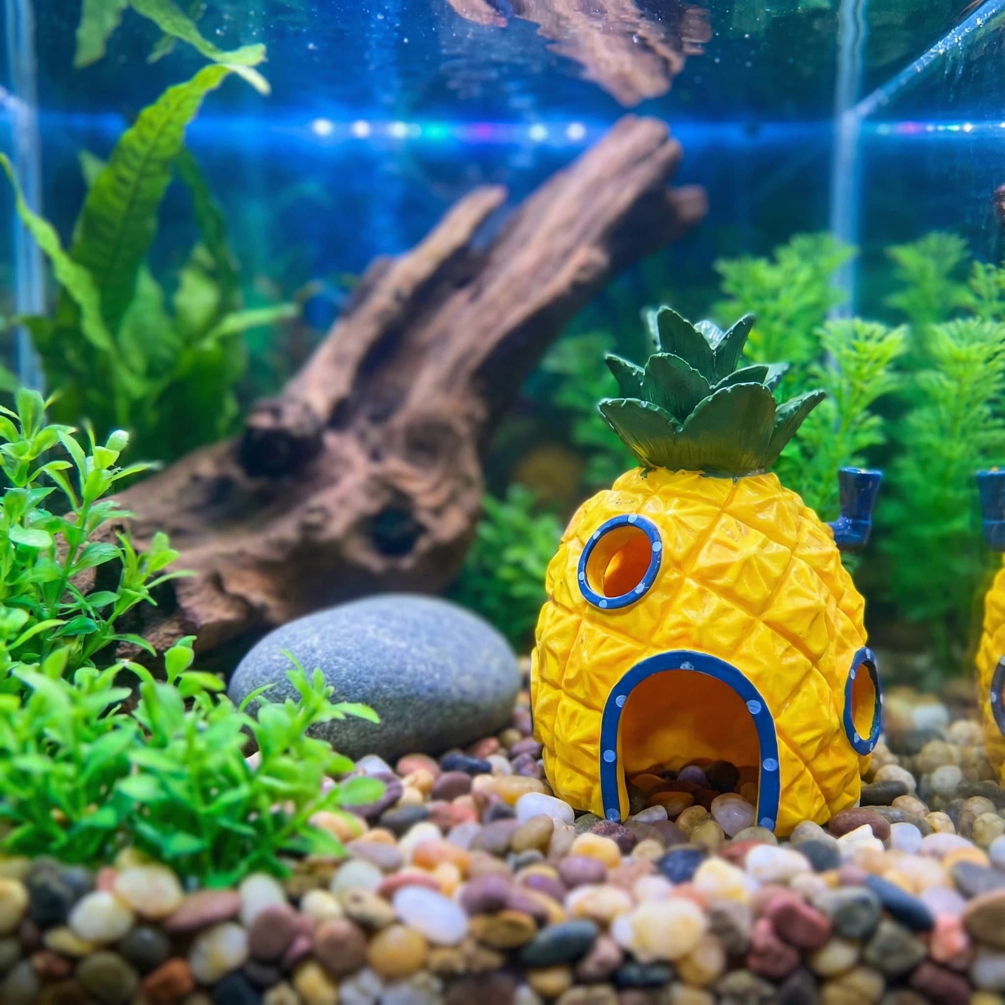 Pineapple House Aquarium Decor - Aquarium Fish Hiding Places ulasan dan harga