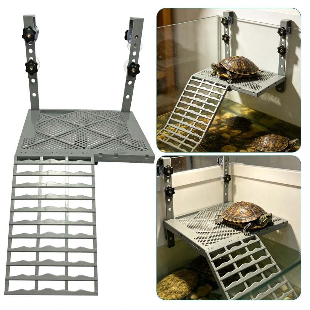 Aquarium Decoration Solid Form - Aquarium Fish Farm ulasan dan harga