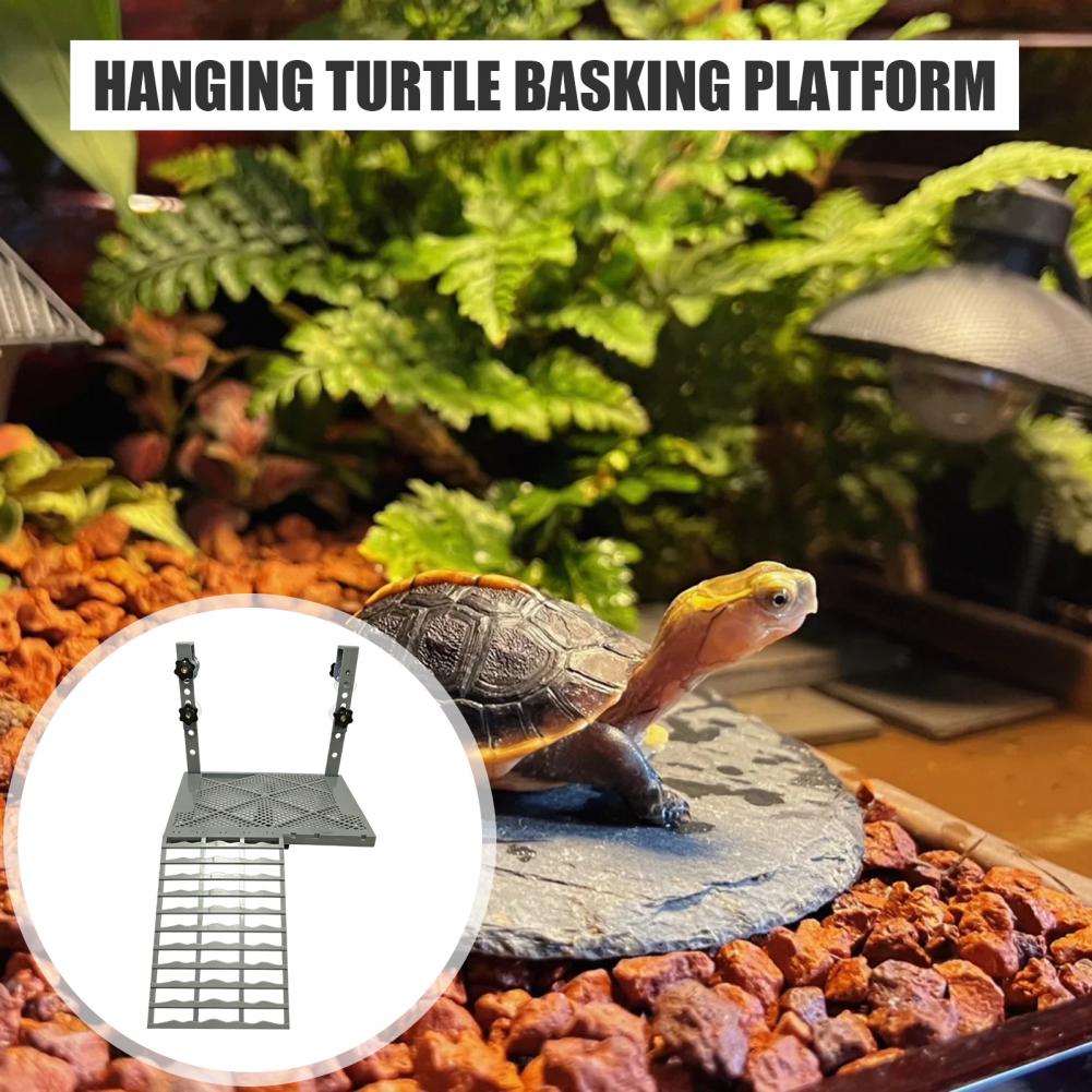 Aquarium Decoration Solid Form - Aquarium Fish Farm ulasan dan harga