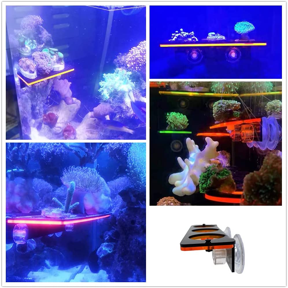 Fluorescent Coral Frag Plug Br - Aquarium Fish Only ulasan dan harga