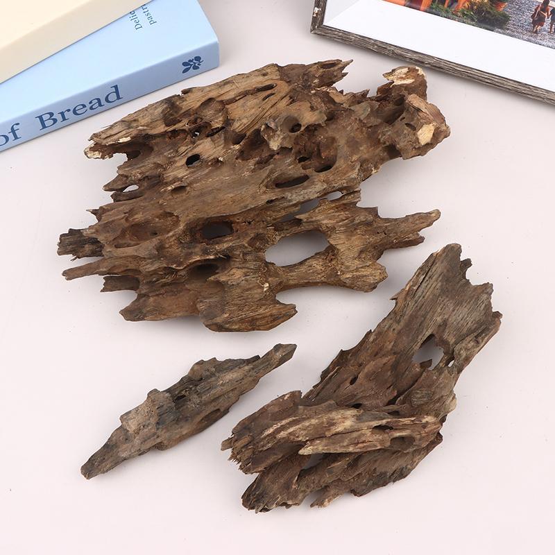 △ Shrimp Wood Aquarium Decor,  - Aquarium Fish Only ulasan dan harga
